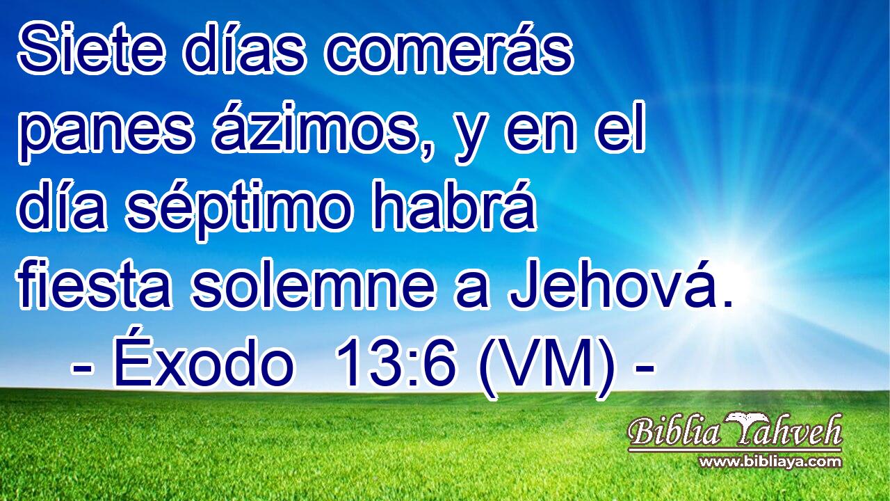  Siete días comerás panes ázimos, y en el día séptimo habrá fiesta solemne a Jehová. 