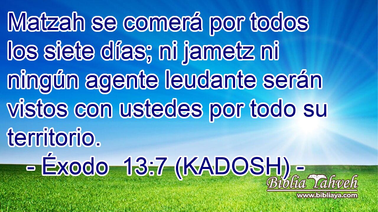  Matzah se comerá por todos los siete días; ni jametz ni ningún agente leudante serán vistos con ustedes por todo su territorio. 