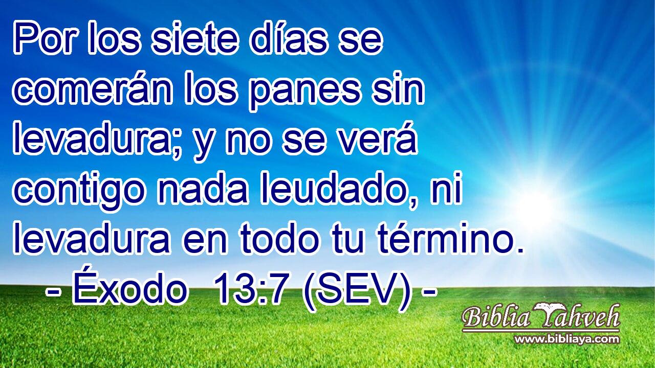 Por los siete días se comerán los panes sin levadura; y no se verá contigo nada leudado, ni levadura en todo tu término.