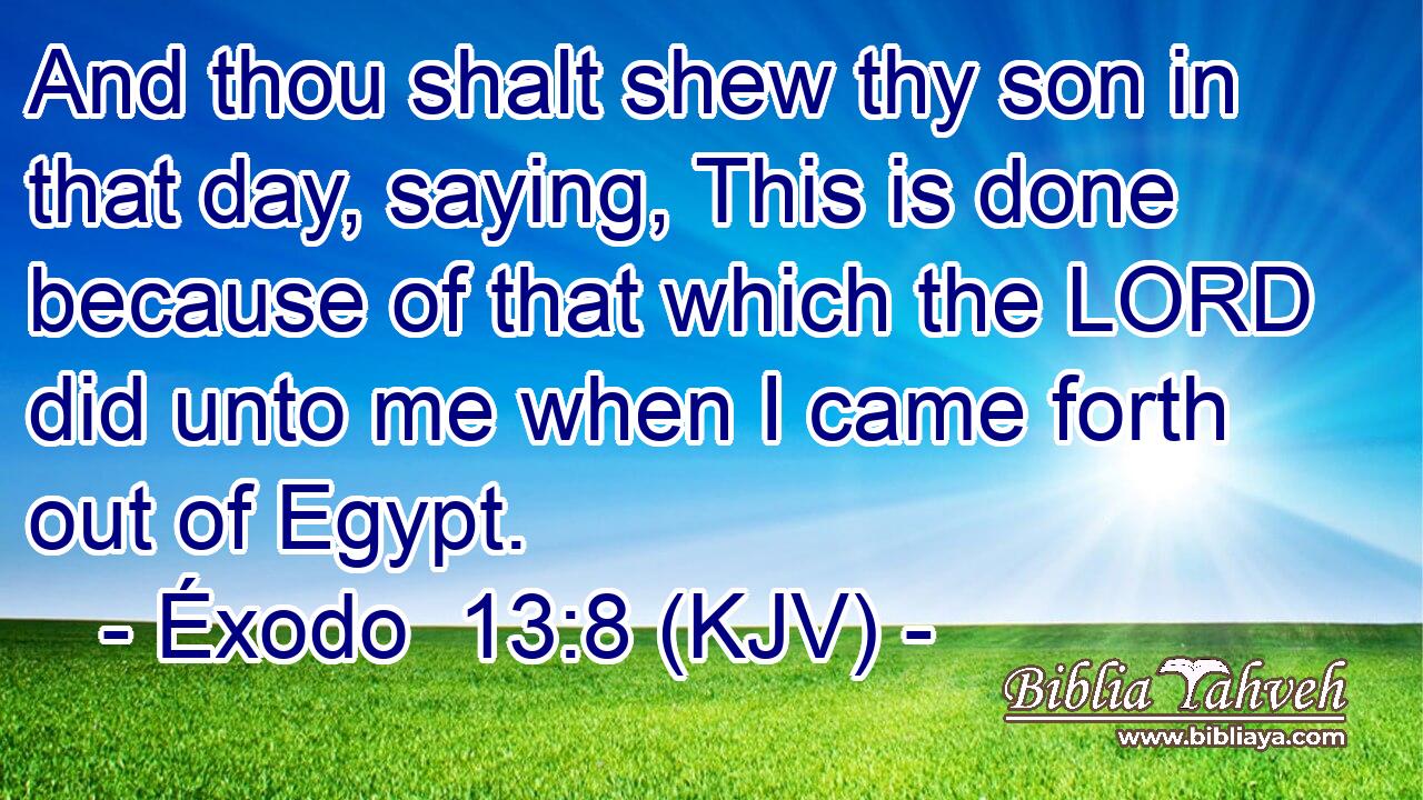 And thou shalt shew thy son in that day, saying, This is done because of that which the LORD did unto me when I came forth out of Egypt.
