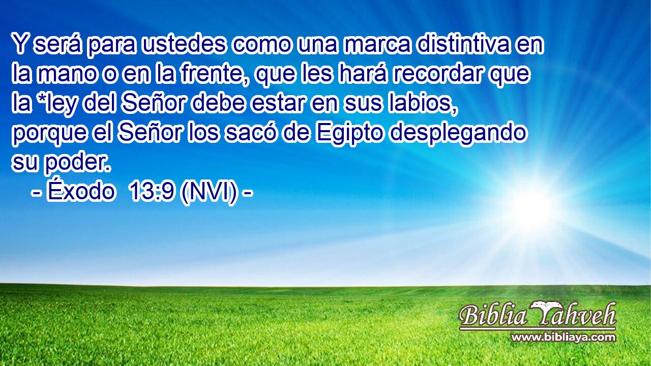  Y será para ustedes como una marca distintiva en la mano o en la frente, que les hará recordar que la *ley del Señor debe estar en sus labios, porque el Señor los sacó de Egipto desplegando su poder. 