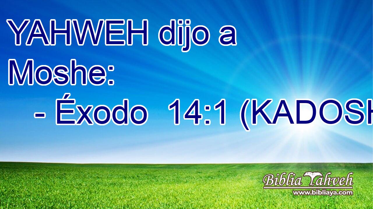  YAHWEH dijo a Moshe: 