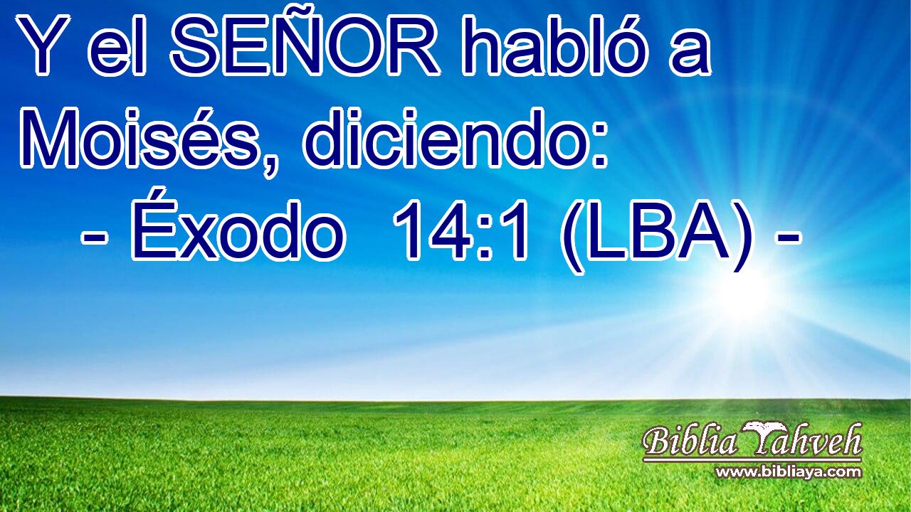 Y el SEÑOR habló a Moisés, diciendo: