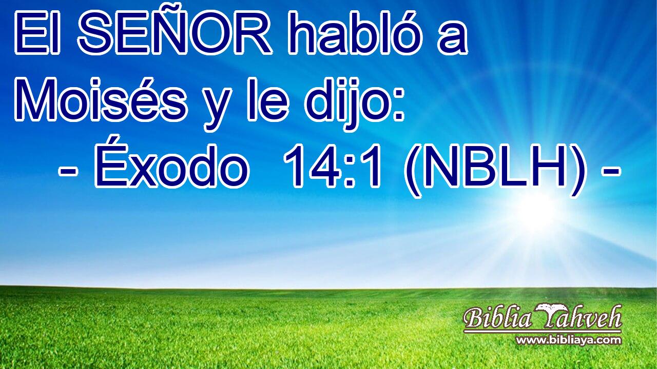  El SEÑOR habló a Moisés y le dijo: 