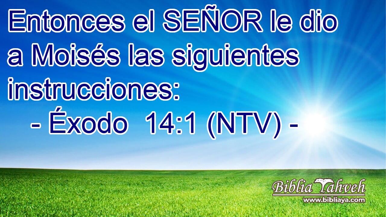 Entonces el SEÑOR le dio a Moisés las siguientes instrucciones: