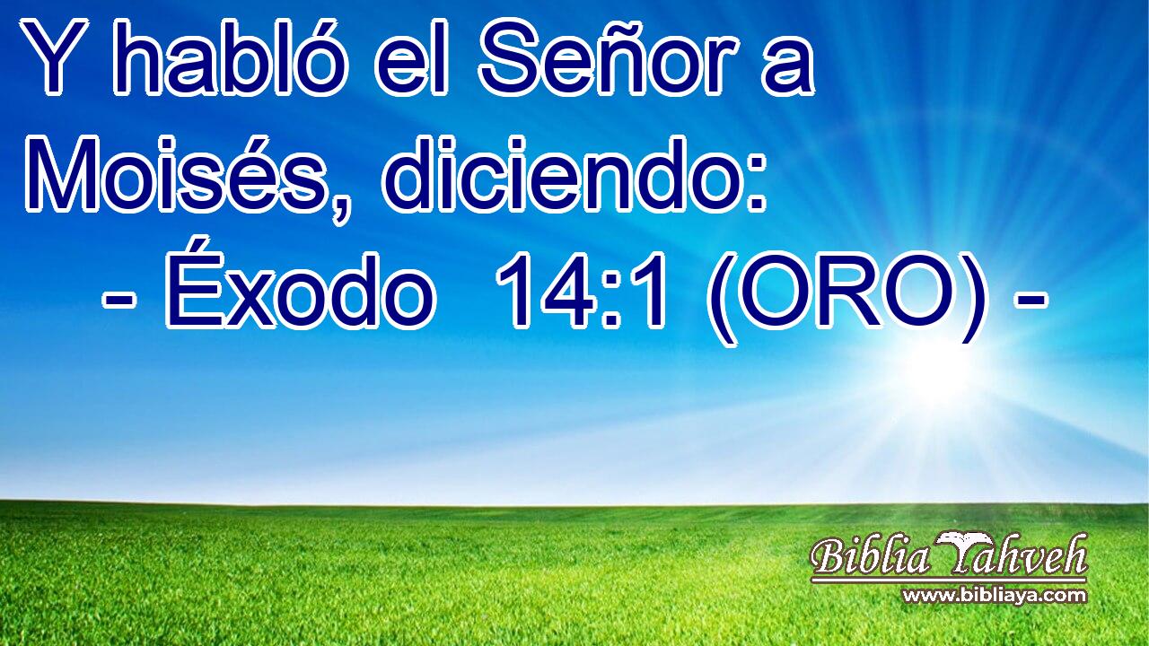  Y habló el Señor a Moisés, diciendo: 