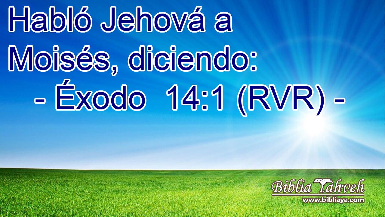 Habló Jehová a Moisés, diciendo: