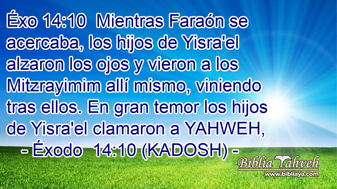 Mientras Faraón se acercaba, los hijos de Yisra'el alzaron los ojos y vieron a los Mitzrayimim allí mismo, viniendo tras ellos. En gran temor los hijos de Yisra'el clamaron a YAHWEH, 