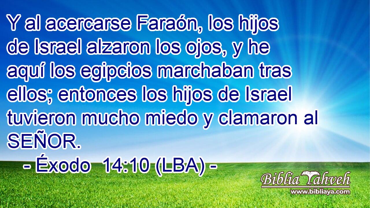 Y al acercarse Faraón, los hijos de Israel alzaron los ojos, y he aquí los egipcios marchaban tras ellos; entonces los hijos de Israel tuvieron mucho miedo y clamaron al SEÑOR.