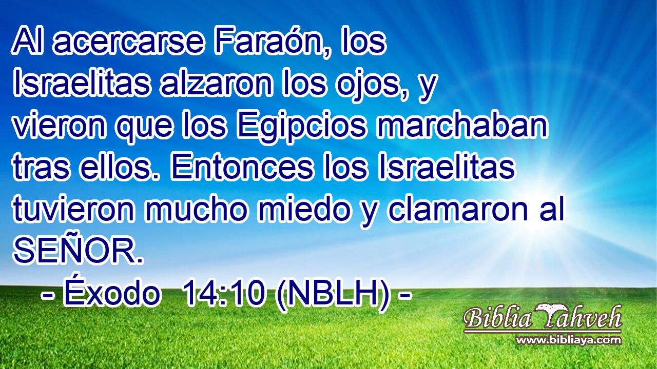  Al acercarse Faraón, los Israelitas alzaron los ojos, y vieron que los Egipcios marchaban tras ellos. Entonces los Israelitas tuvieron mucho miedo y clamaron al SEÑOR. 
