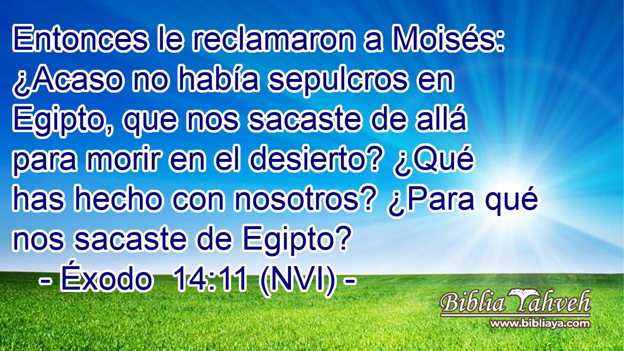  Entonces le reclamaron a Moisés: ¿Acaso no había sepulcros en Egipto, que nos sacaste de allá para morir en el desierto? ¿Qué has hecho con nosotros? ¿Para qué nos sacaste de Egipto? 