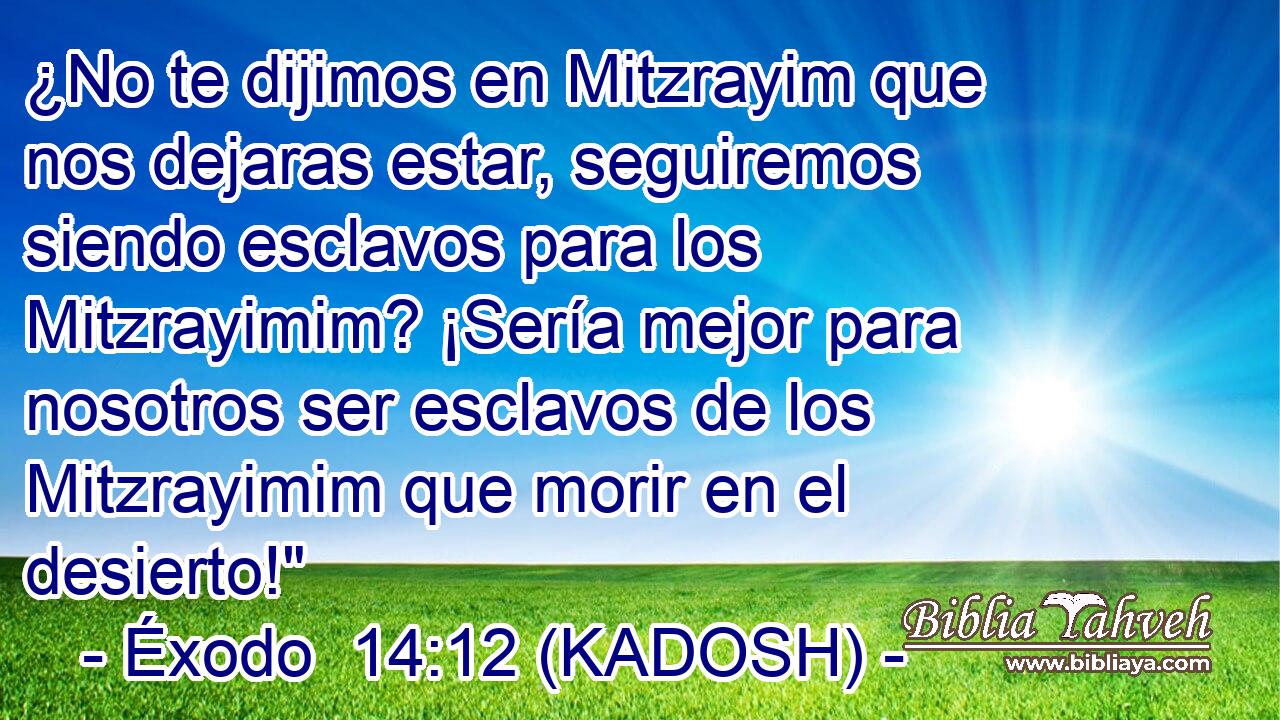  ¿No te dijimos en Mitzrayim que nos dejaras estar, seguiremos siendo esclavos para los Mitzrayimim? ¡Sería mejor para nosotros ser esclavos de los Mitzrayimim que morir en el desierto!