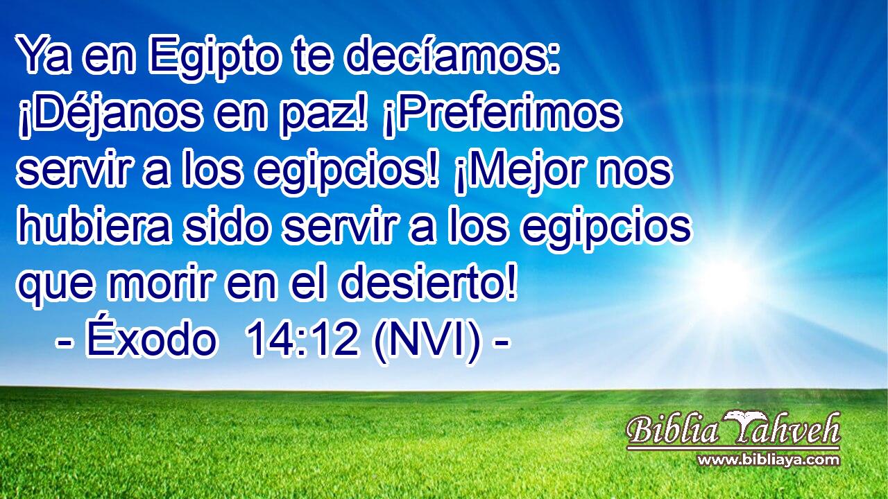  Ya en Egipto te decíamos: ¡Déjanos en paz! ¡Preferimos servir a los egipcios! ¡Mejor nos hubiera sido servir a los egipcios que morir en el desierto! 