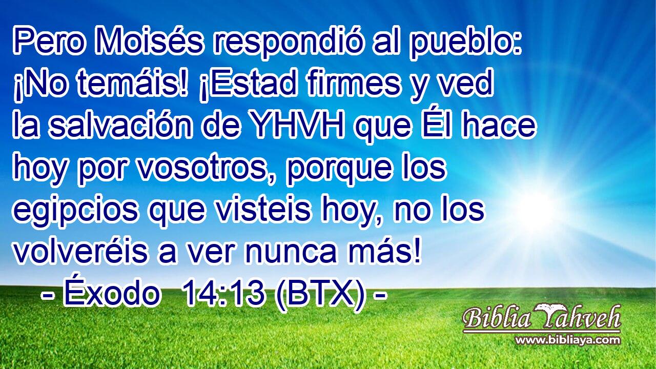 Pero Moisés respondió al pueblo: ¡No temáis! ¡Estad firmes y ved la salvación de YHVH que Él hace hoy por vosotros, porque los egipcios que visteis hoy, no los volveréis a ver nunca más!