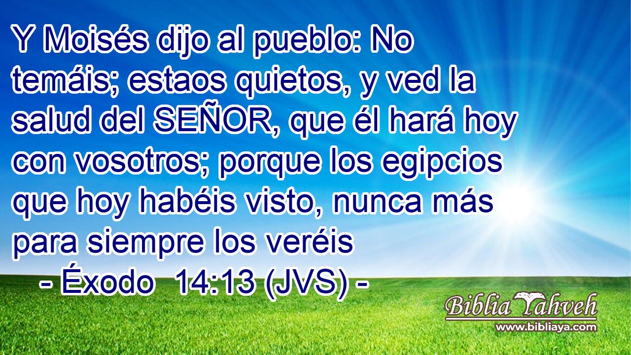 Y Moisés dijo al pueblo: No temáis; estaos quietos, y ved la salud del SEÑOR, que él hará hoy con vosotros; porque los egipcios que hoy habéis visto, nunca más para siempre los veréis