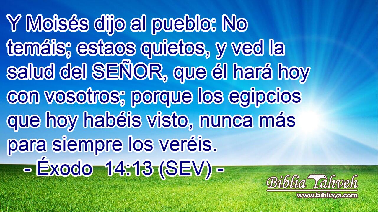 Y Moisés dijo al pueblo: No temáis; estaos quietos, y ved la salud del SEÑOR, que él hará hoy con vosotros; porque los egipcios que hoy habéis visto, nunca más para siempre los veréis.