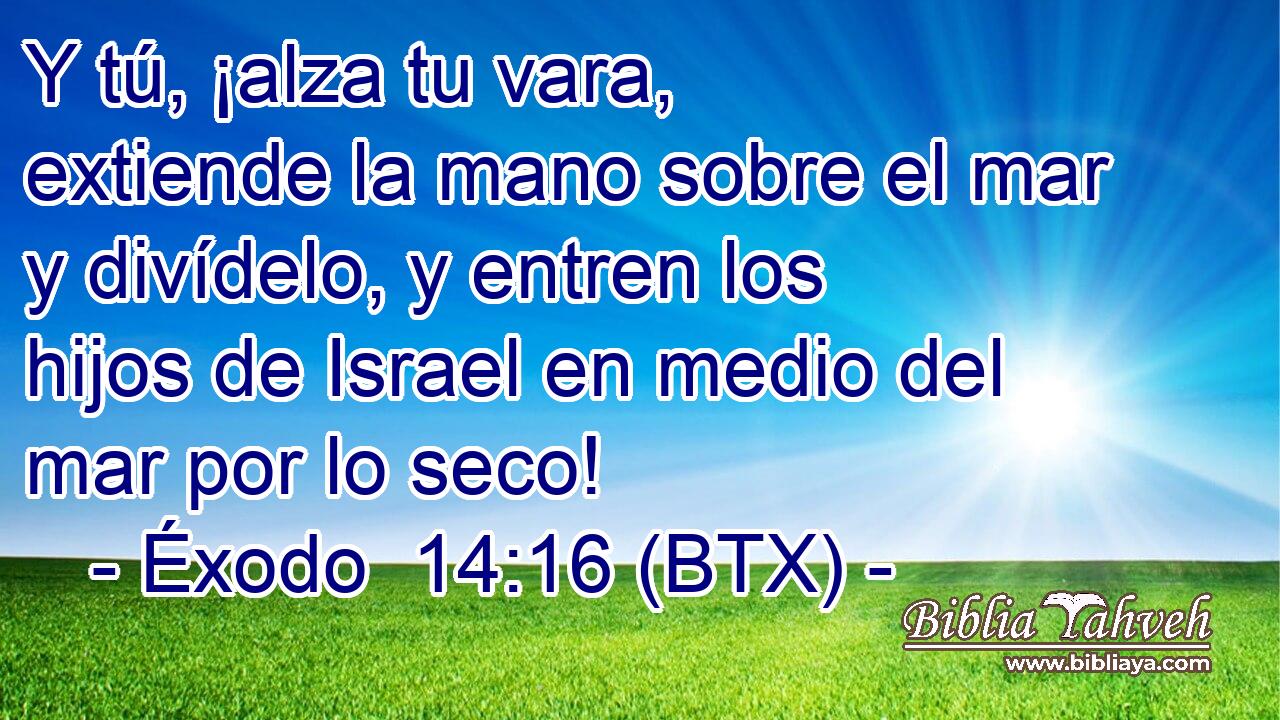 Y tú, ¡alza tu vara, extiende la mano sobre el mar y divídelo, y entren los hijos de Israel en medio del mar por lo seco!