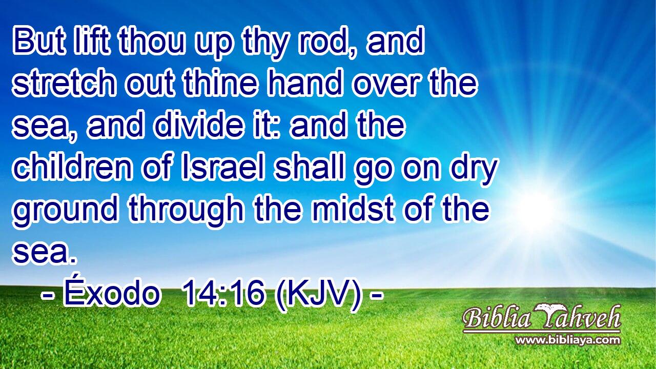 But lift thou up thy rod, and stretch out thine hand over the sea, and divide it: and the children of Israel shall go on dry ground through the midst of the sea.