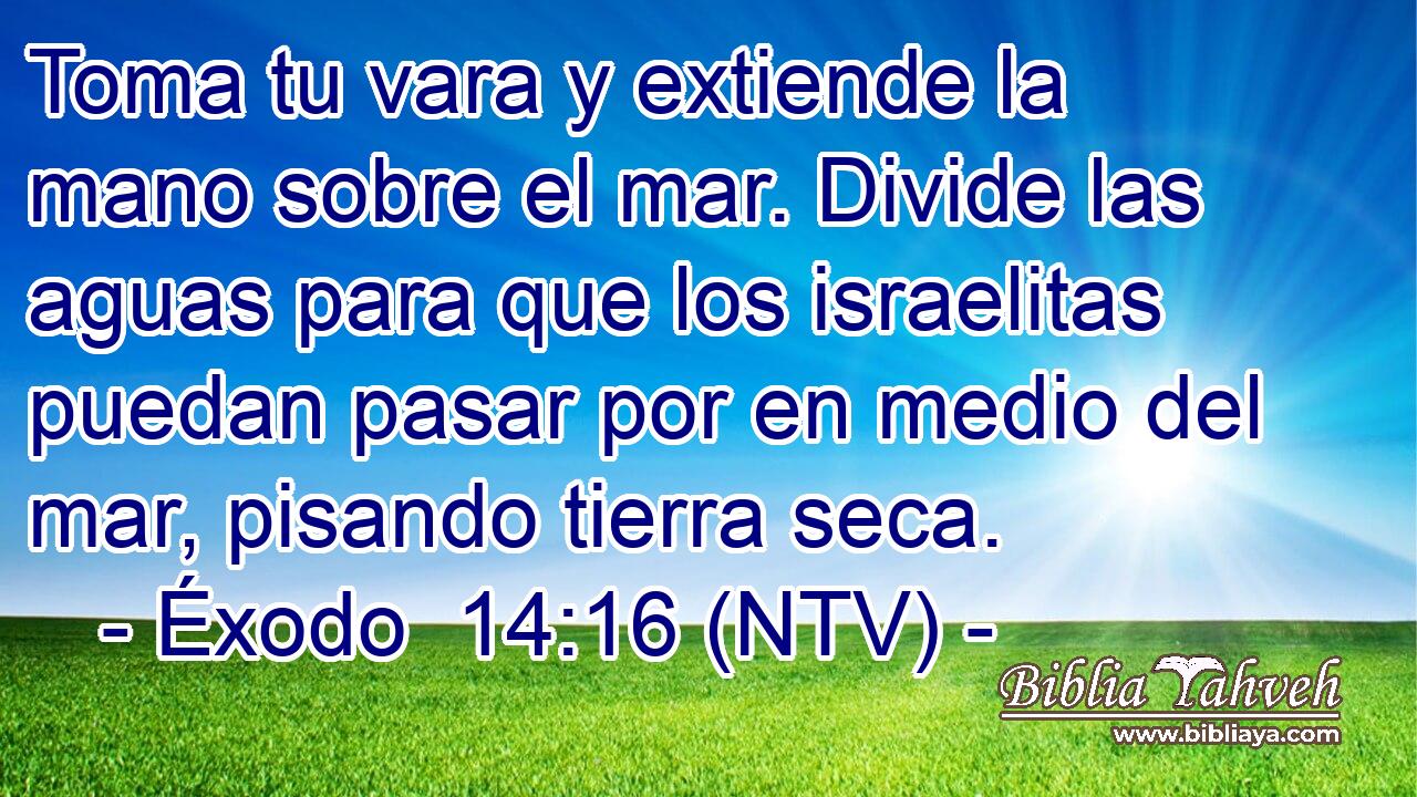 Toma tu vara y extiende la mano sobre el mar. Divide las aguas para que los israelitas puedan pasar por en medio del mar, pisando tierra seca.