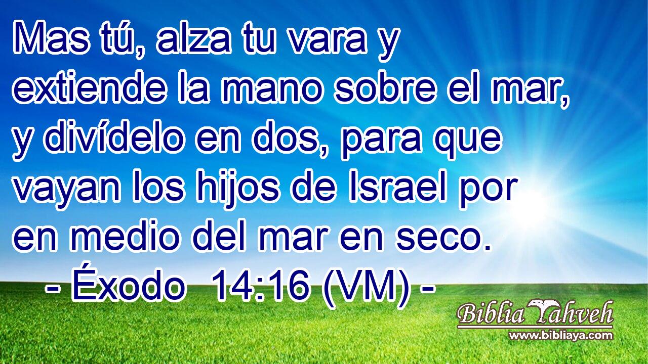  Mas tú, alza tu vara y extiende la mano sobre el mar, y divídelo en dos, para que vayan los hijos de Israel por en medio del mar en seco. 