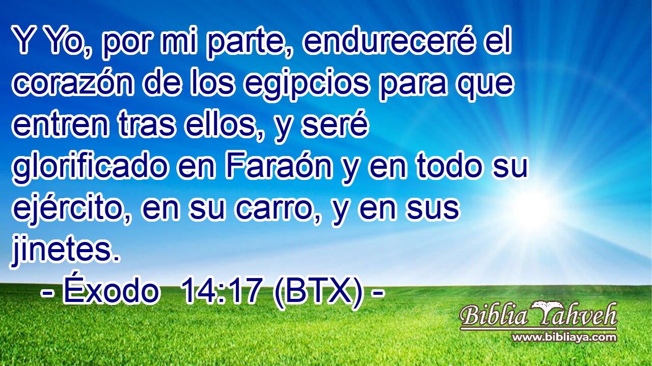Y Yo, por mi parte, endureceré el corazón de los egipcios para que entren tras ellos, y seré glorificado en Faraón y en todo su ejército, en su carro, y en sus jinetes.