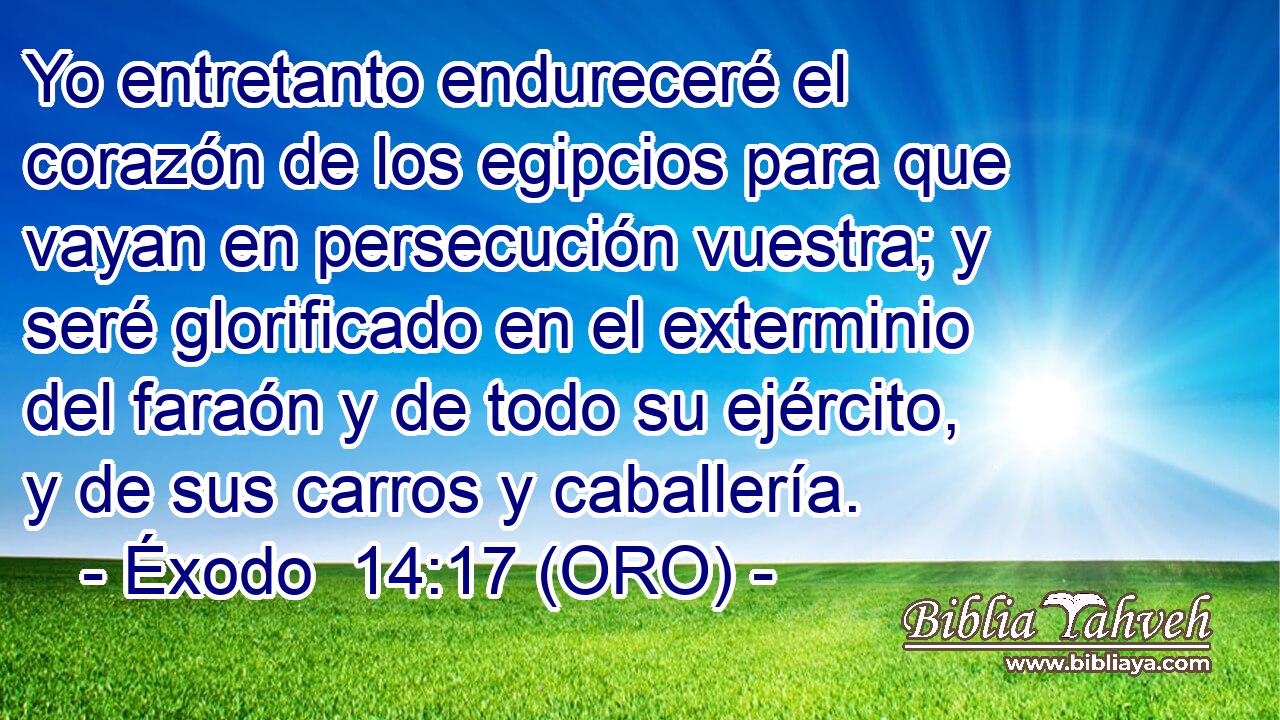  Yo entretanto endureceré el corazón de los egipcios para que vayan en persecución vuestra; y seré glorificado en el exterminio del faraón y de todo su ejército, y de sus carros y caballería. 