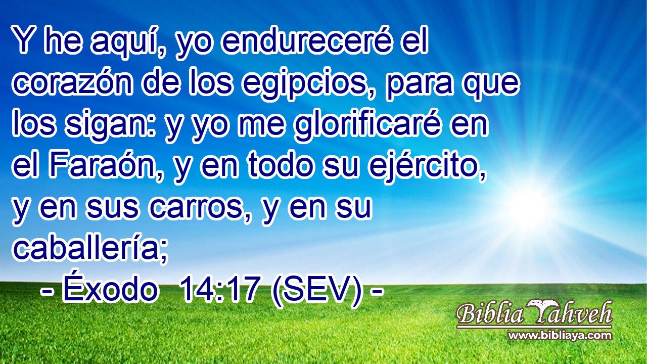 Y he aquí, yo endureceré el corazón de los egipcios, para que los sigan: y yo me glorificaré en el Faraón, y en todo su ejército, y en sus carros, y en su caballería;