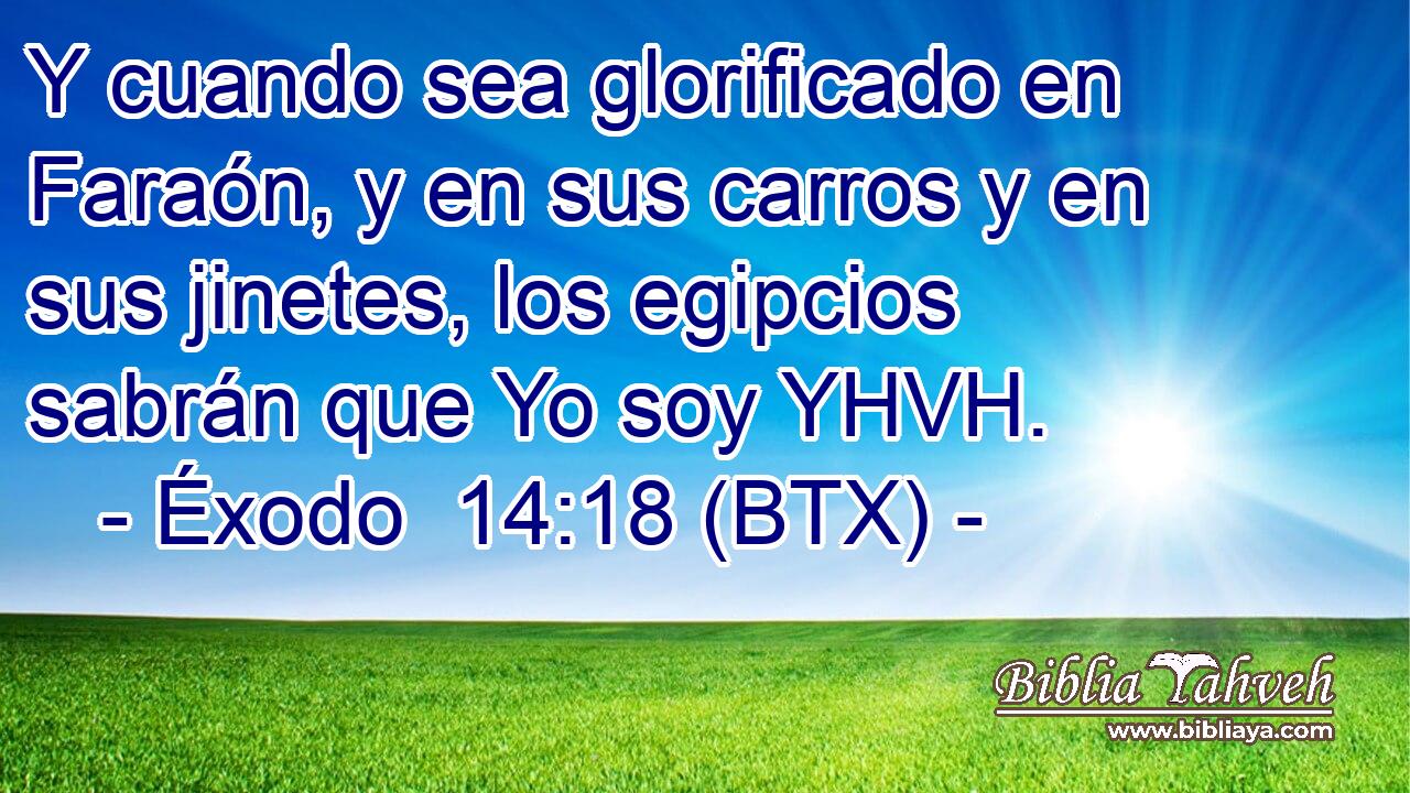 Y cuando sea glorificado en Faraón, y en sus carros y en sus jinetes, los egipcios sabrán que Yo soy YHVH.