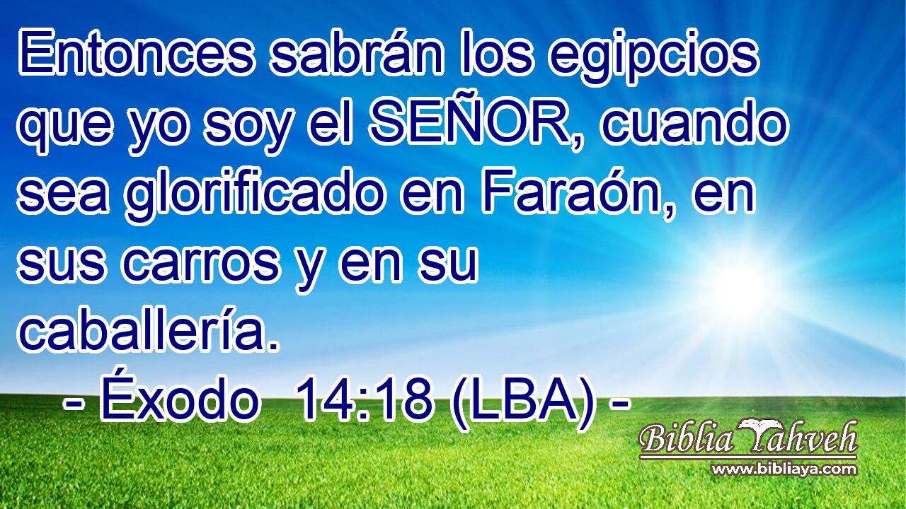 Entonces sabrán los egipcios que yo soy el SEÑOR, cuando sea glorificado en Faraón, en sus carros y en su caballería.