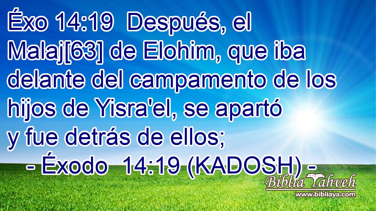  Después, el Malaj[63] de Elohim, que iba delante del campamento de los hijos de Yisra'el, se apartó y fue detrás de ellos; 
