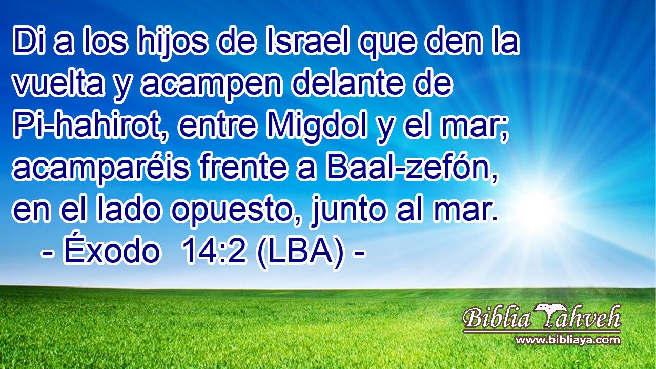 Di a los hijos de Israel que den la vuelta y acampen delante de Pi-hahirot, entre Migdol y el mar; acamparéis frente a Baal-zefón, en el lado opuesto, junto al mar.