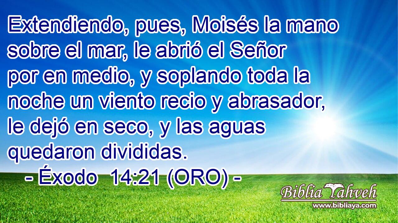  Extendiendo, pues, Moisés la mano sobre el mar, le abrió el Señor por en medio, y soplando toda la noche un viento recio y abrasador, le dejó en seco, y las aguas quedaron divididas. 