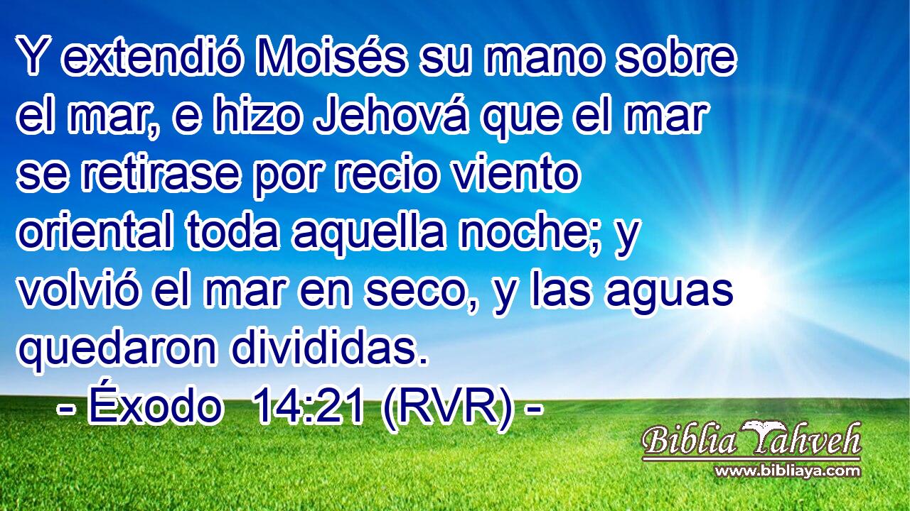 Y extendió Moisés su mano sobre el mar, e hizo Jehová que el mar se retirase por recio viento oriental toda aquella noche; y volvió el mar en seco, y las aguas quedaron divididas.