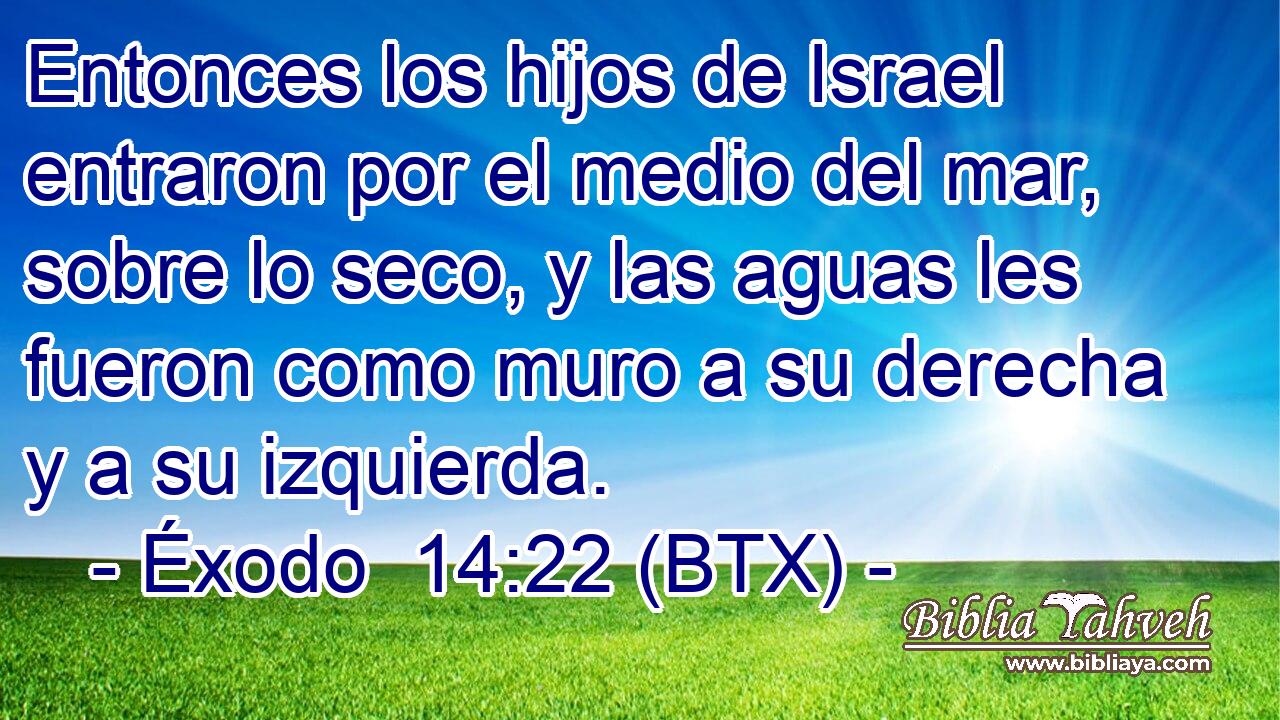 Entonces los hijos de Israel entraron por el medio del mar, sobre lo seco, y las aguas les fueron como muro a su derecha y a su izquierda.