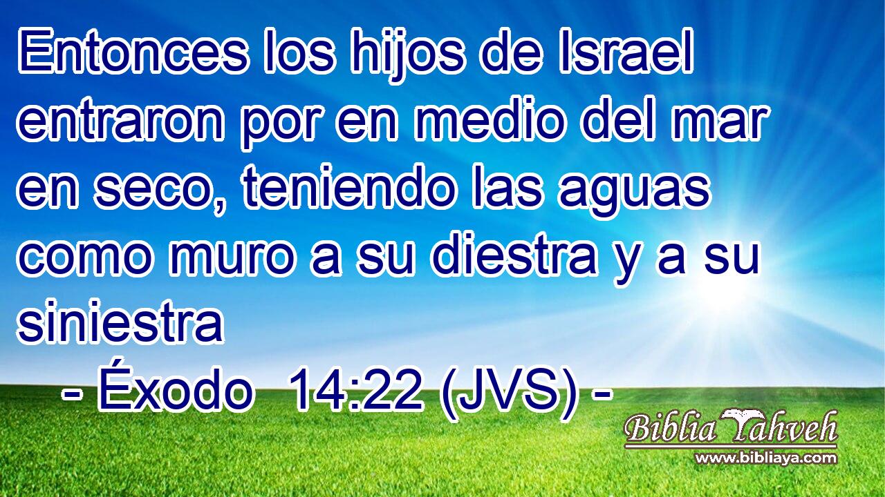 Entonces los hijos de Israel entraron por en medio del mar en seco, teniendo las aguas como muro a su diestra y a su siniestra