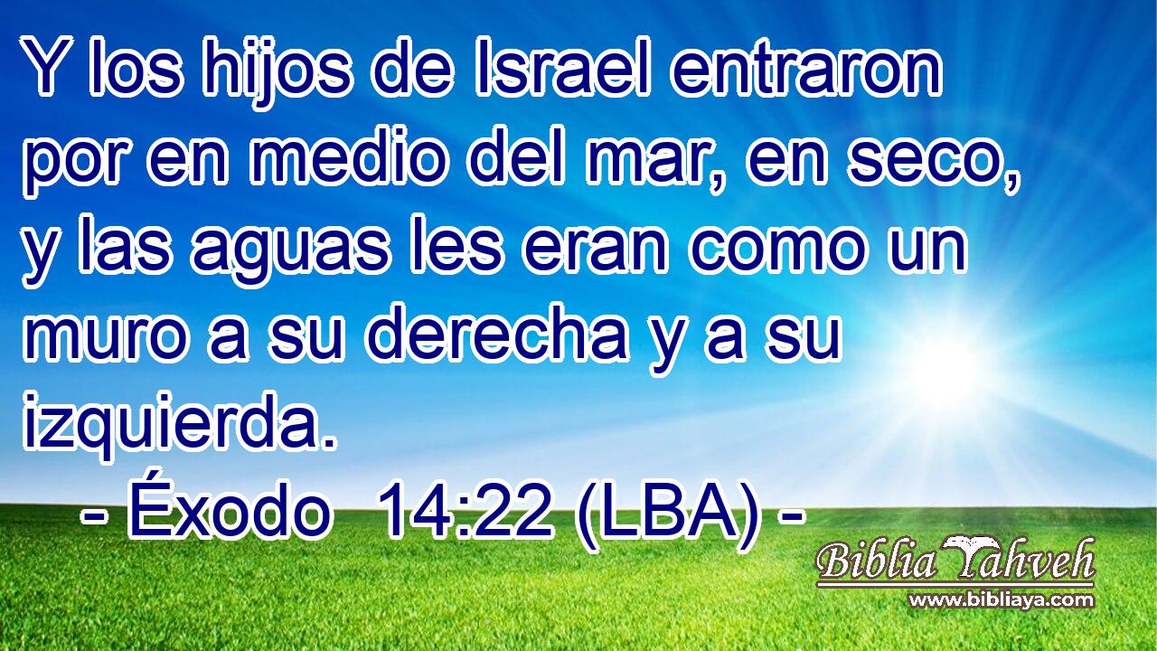 Y los hijos de Israel entraron por en medio del mar, en seco, y las aguas les eran como un muro a su derecha y a su izquierda.