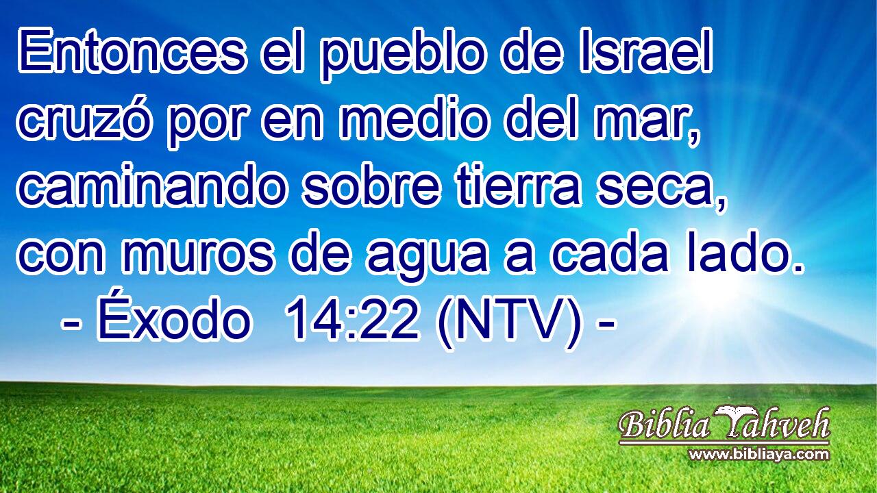 Entonces el pueblo de Israel cruzó por en medio del mar, caminando sobre tierra seca, con muros de agua a cada lado.