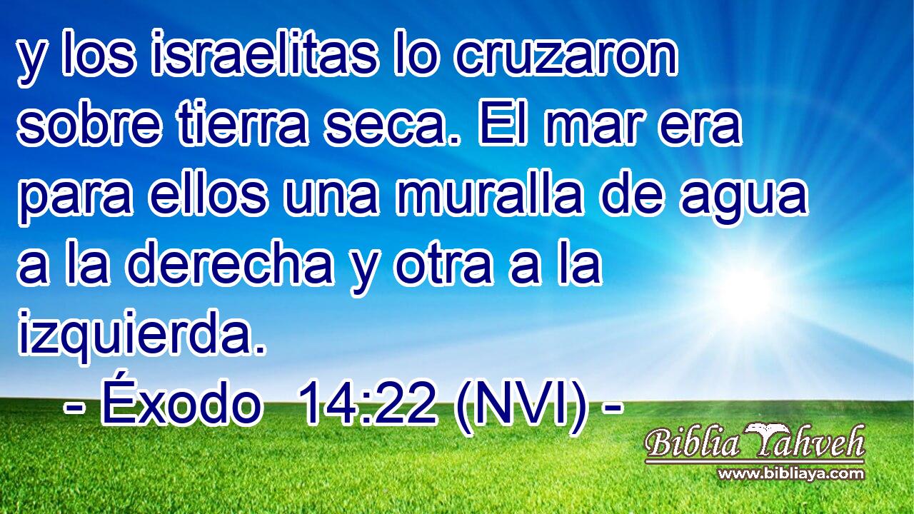  y los israelitas lo cruzaron sobre tierra seca. El mar era para ellos una muralla de agua a la derecha y otra a la izquierda. 