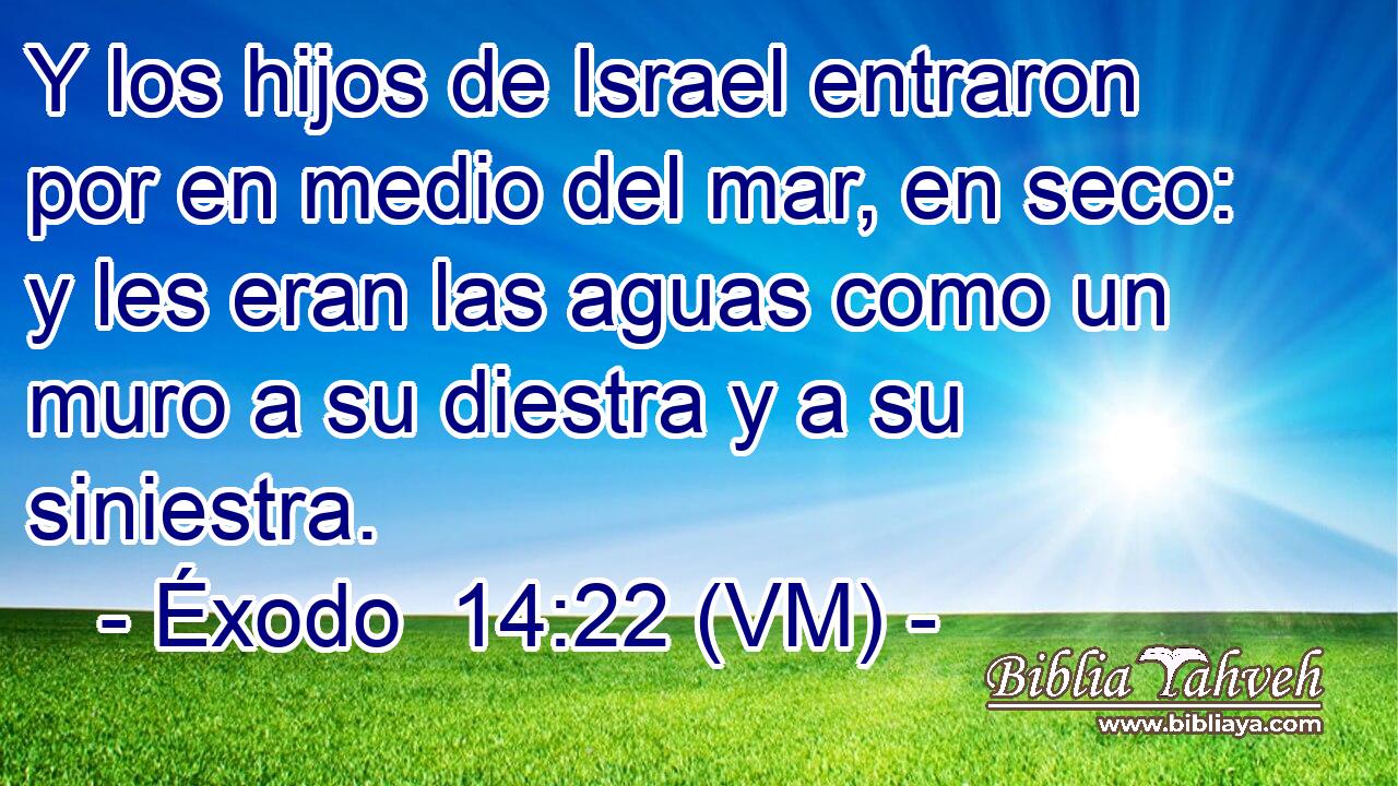  Y los hijos de Israel entraron por en medio del mar, en seco: y les eran las aguas como un muro a su diestra y a su siniestra. 
