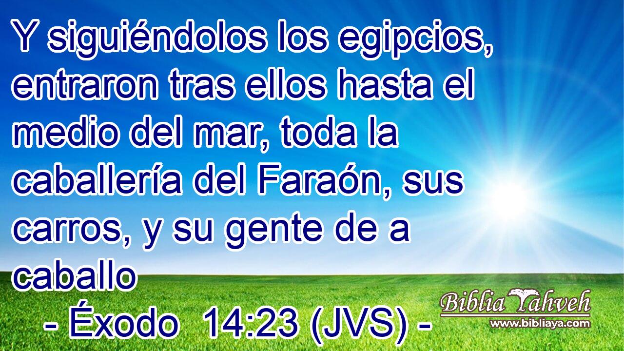 Y siguiéndolos los egipcios, entraron tras ellos hasta el medio del mar, toda la caballería del Faraón, sus carros, y su gente de a caballo