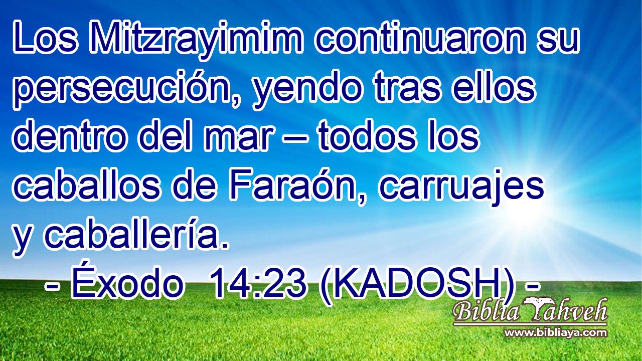  Los Mitzrayimim continuaron su persecución, yendo tras ellos dentro del mar – todos los caballos de Faraón, carruajes y caballería. 