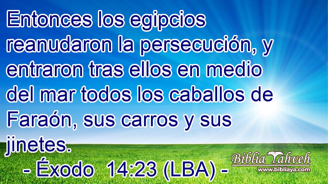 Entonces los egipcios reanudaron la persecución, y entraron tras ellos en medio del mar todos los caballos de Faraón, sus carros y sus jinetes.
