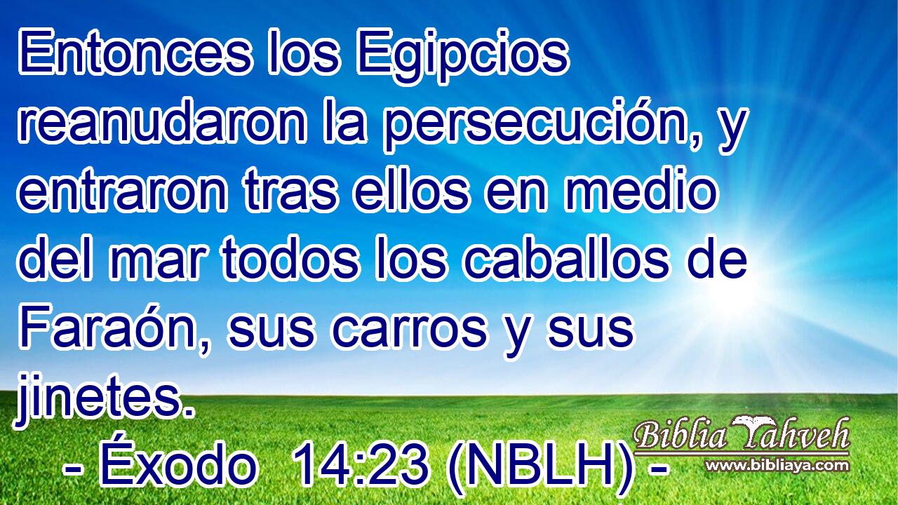  Entonces los Egipcios reanudaron la persecución, y entraron tras ellos en medio del mar todos los caballos de Faraón, sus carros y sus jinetes. 