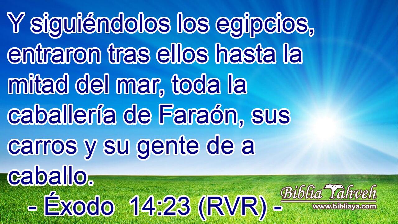 Y siguiéndolos los egipcios, entraron tras ellos hasta la mitad del mar, toda la caballería de Faraón, sus carros y su gente de a caballo.