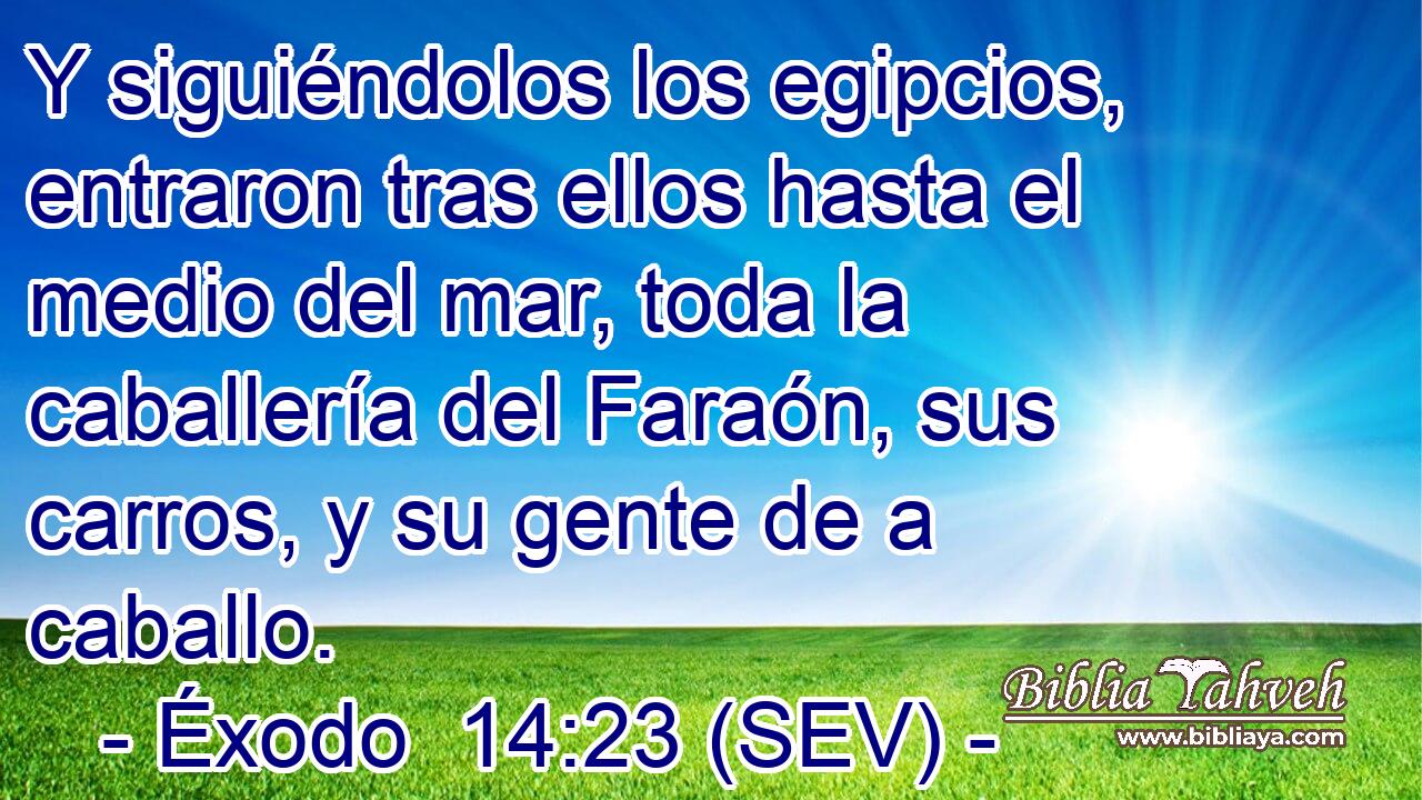 Y siguiéndolos los egipcios, entraron tras ellos hasta el medio del mar, toda la caballería del Faraón, sus carros, y su gente de a caballo.
