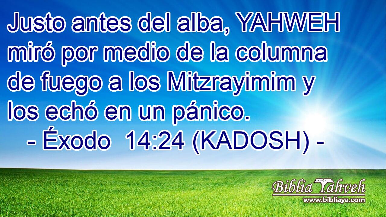  Justo antes del alba, YAHWEH miró por medio de la columna de fuego a los Mitzrayimim y los echó en un pánico. 