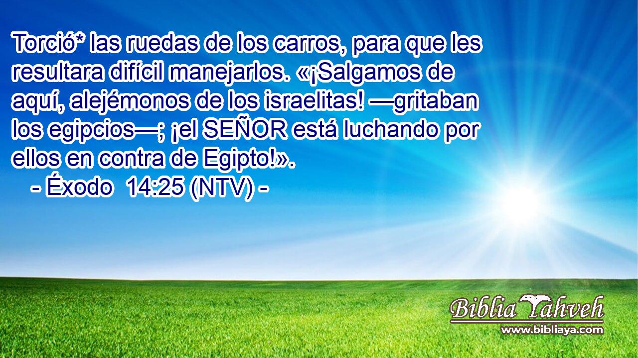 Torció* las ruedas de los carros, para que les resultara difícil manejarlos. «¡Salgamos de aquí, alejémonos de los israelitas! —gritaban los egipcios—; ¡el SEÑOR está luchando por ellos en contra de Egipto!».