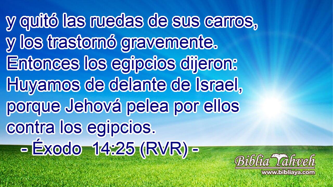y quitó las ruedas de sus carros, y los trastornó gravemente. Entonces los egipcios dijeron: Huyamos de delante de Israel, porque Jehová pelea por ellos contra los egipcios.