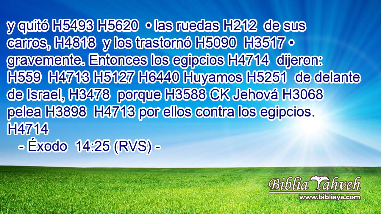 y quitó H5493 H5620  • las ruedas H212  de sus carros, H4818  y los trastornó H5090  H3517 • gravemente. Entonces los egipcios H4714  dijeron: H559  H4713 H5127 H6440 Huyamos H5251  de delante de Israel, H3478  porque H3588 CK Jehová H3068  pelea H3898  H4713 por ellos contra los egipcios. H4714  