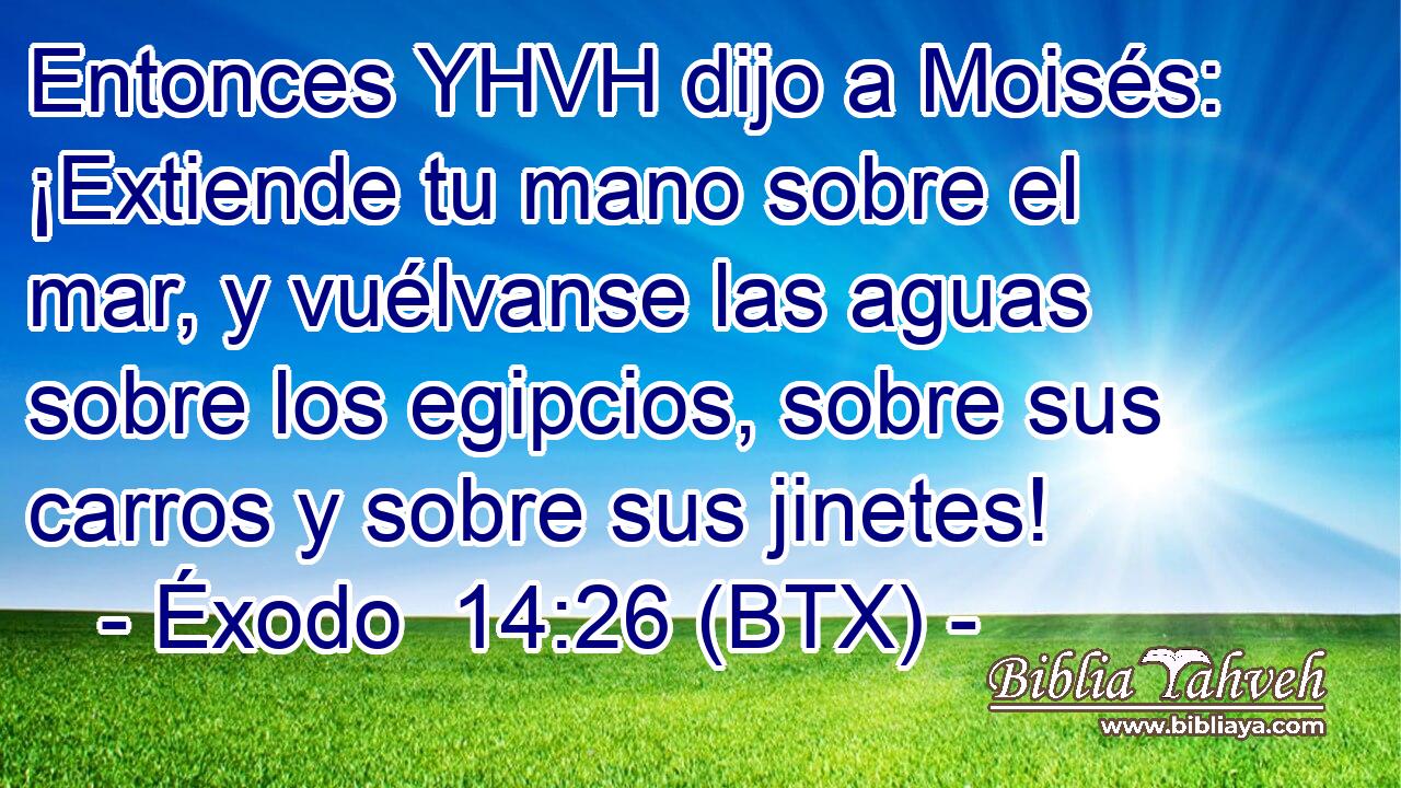 Entonces YHVH dijo a Moisés: ¡Extiende tu mano sobre el mar, y vuélvanse las aguas sobre los egipcios, sobre sus carros y sobre sus jinetes!